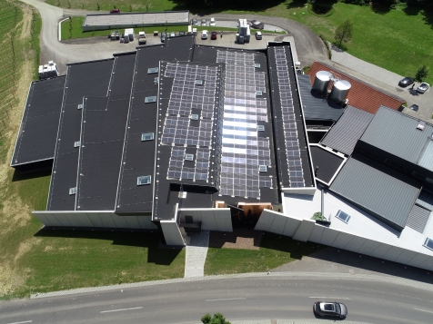 Referenzobjekt Weingut Krispel